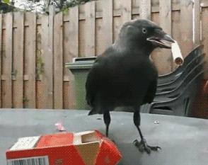 荷兰的绝美照片,荷兰绝美自然风光照片