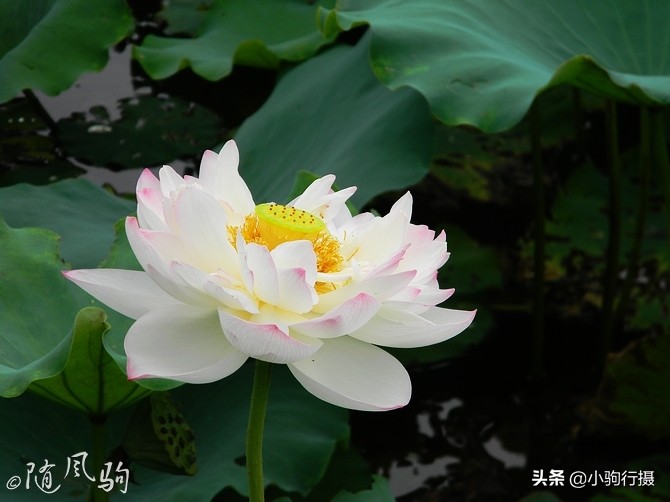 单车骑行无锡,无锡单车骑行路线