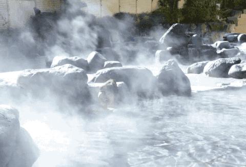 天目湖竹海漂流民宿,天目湖2天一夜亲子游