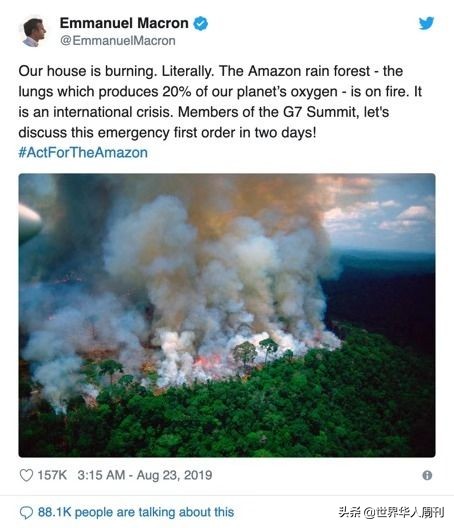 被全球痛骂的巴西政府：官员都没钱喝咖啡了，你还指望它救火？