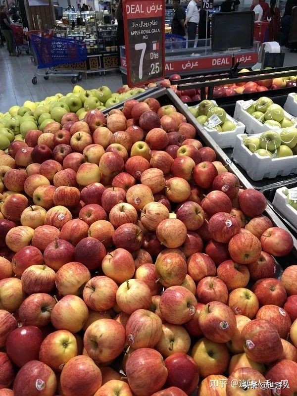 迪拜物价有多高,迪拜物价咋样的