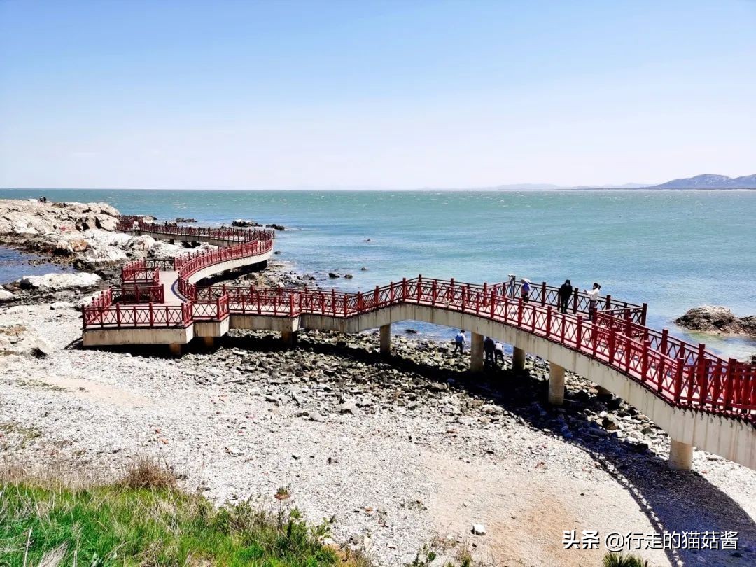 养马岛4a风景区,烟台养马岛景区