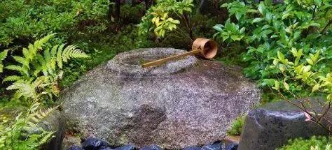 禅意庭院一定要用苔藓吗,禅意苔藓微景观制作视频