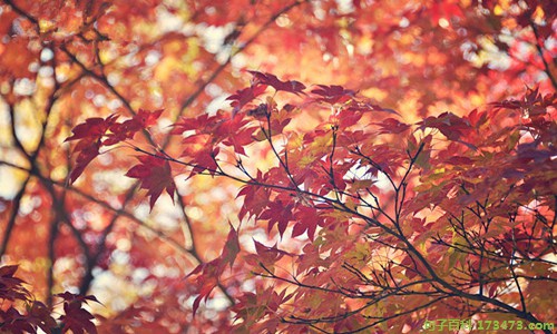 写给对象的长文情话,写给对象的充满希望的情话
