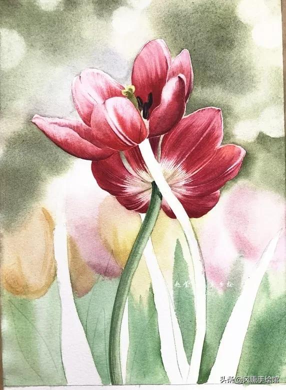 怎么用水彩笔画郁金香教程,粉色水彩郁金香怎么画图片