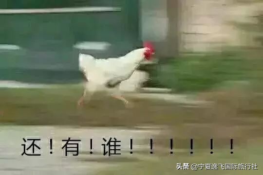 五一宁夏旅游攻略,宁夏五一假期适合去哪里旅游