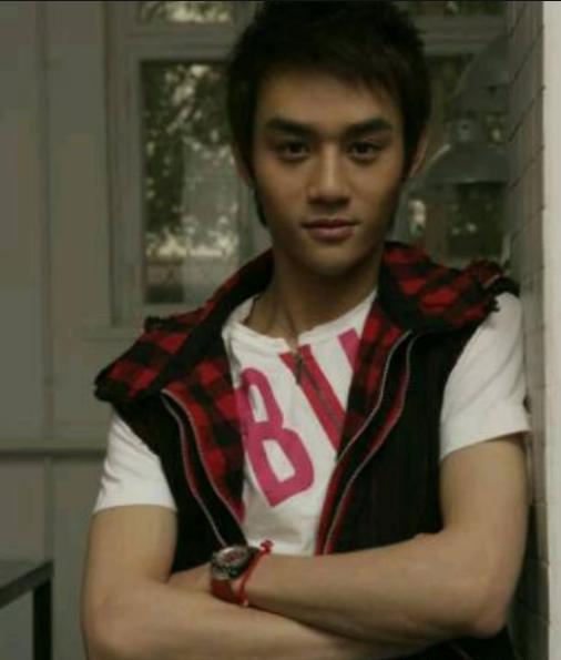 王凯萧景琰出场,王凯萧景琰演技