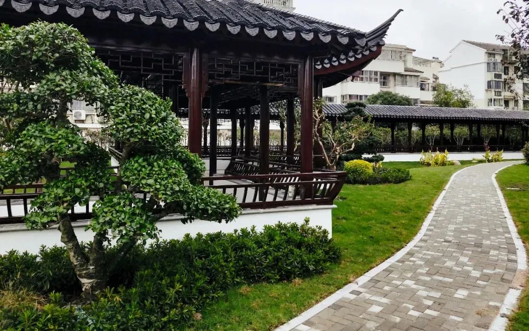 苏州名模范,苏州市道德模范