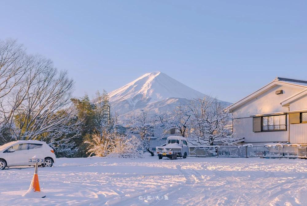 不会受任何人摆布,不会屈服任何人的星座