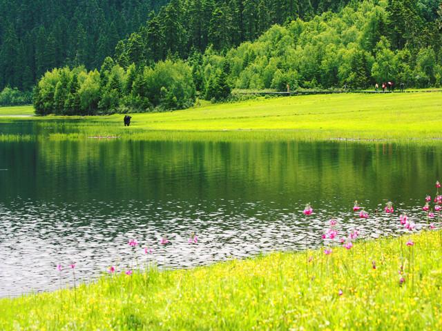 云南旅游攻略必去十大景点合集,云南旅游景点必去十大攻略