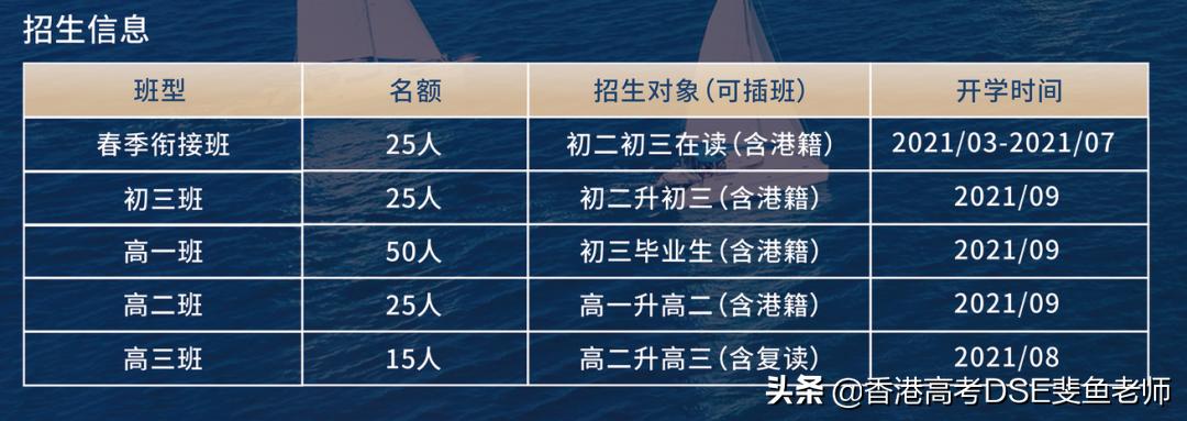 鲸帆dse国际,鲸帆dse国际学校创作人