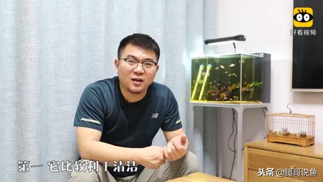 大缸什么过滤效果最好,什么过滤方式小缸效果最佳