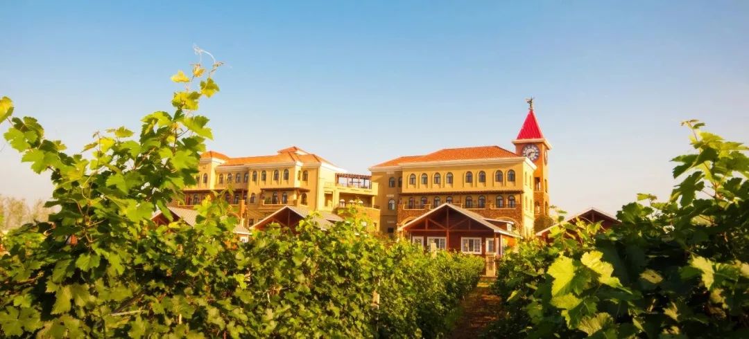 威海五一旅游攻略,五一威海旅游有一起的吗