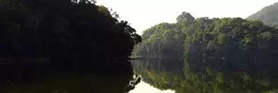 中国六大普洱茶山,普洱真正的六大茶山