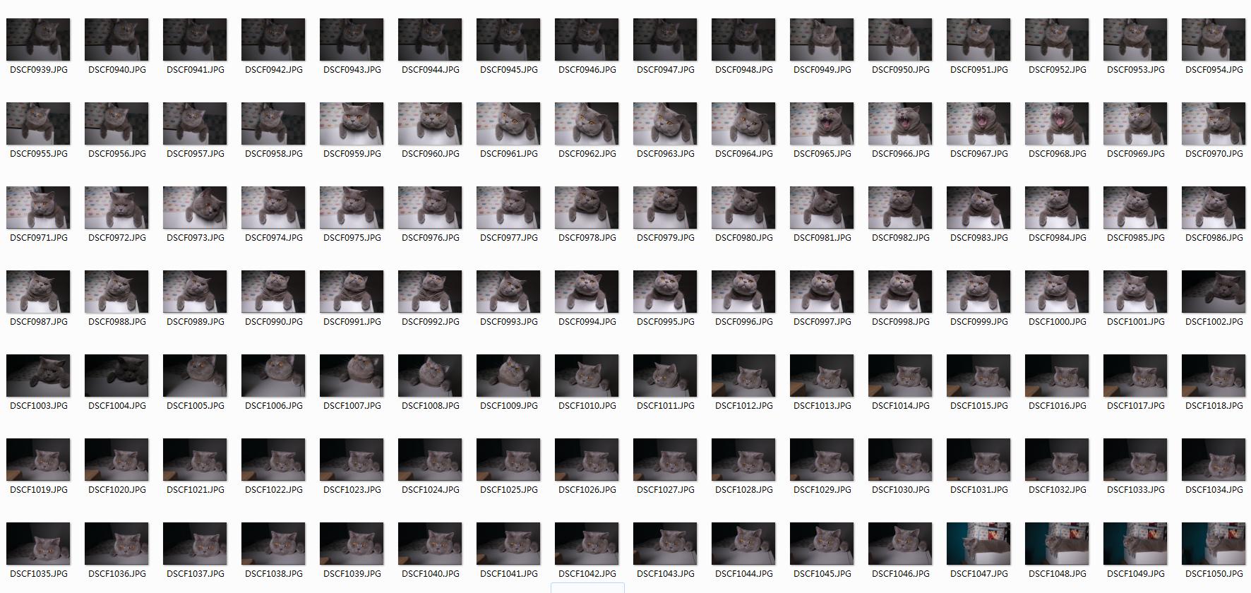 照相机sd卡在什么平台买比较好,相机sd卡推荐排行榜性价比高