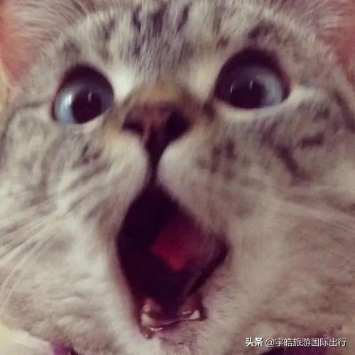 闊╁浗鍥炰腑鍥芥牳閰告娴嬬櫥鏈虹殑娴佺▼,鍘婚煩鍥借浆鏈洪渶瑕佹牳閰告娴嬪悧