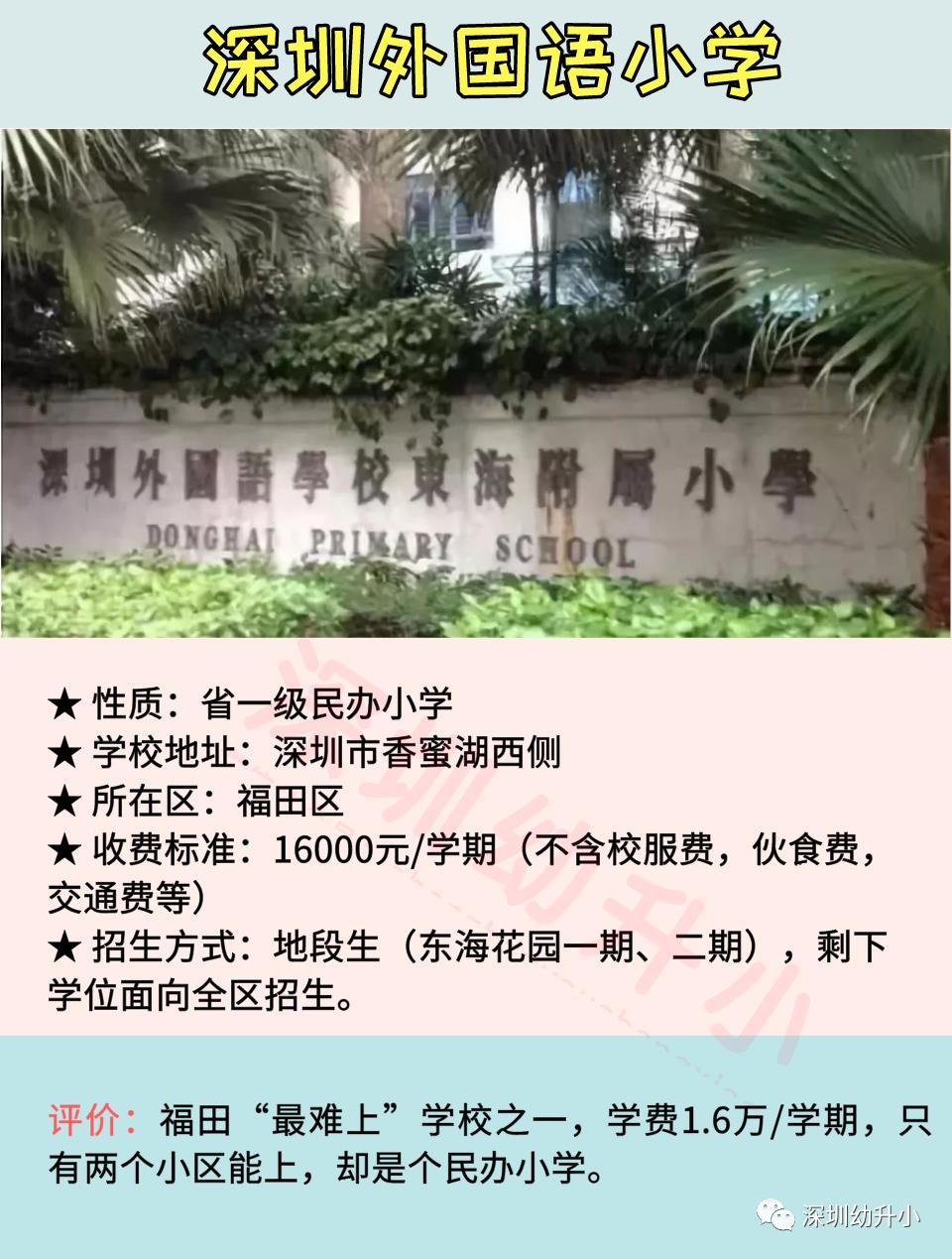 2020深圳小学排名前100名名校,深圳十大小学学校排名榜