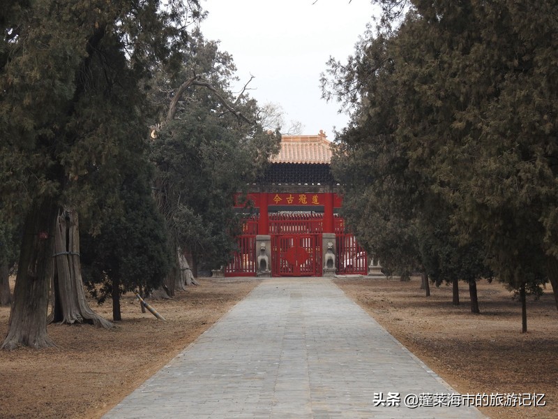 向经典致敬向传统致敬,向经典致敬弘扬传统文化