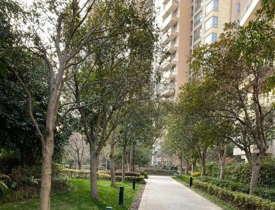 为啥住二楼后悔,住高层二楼真实感受