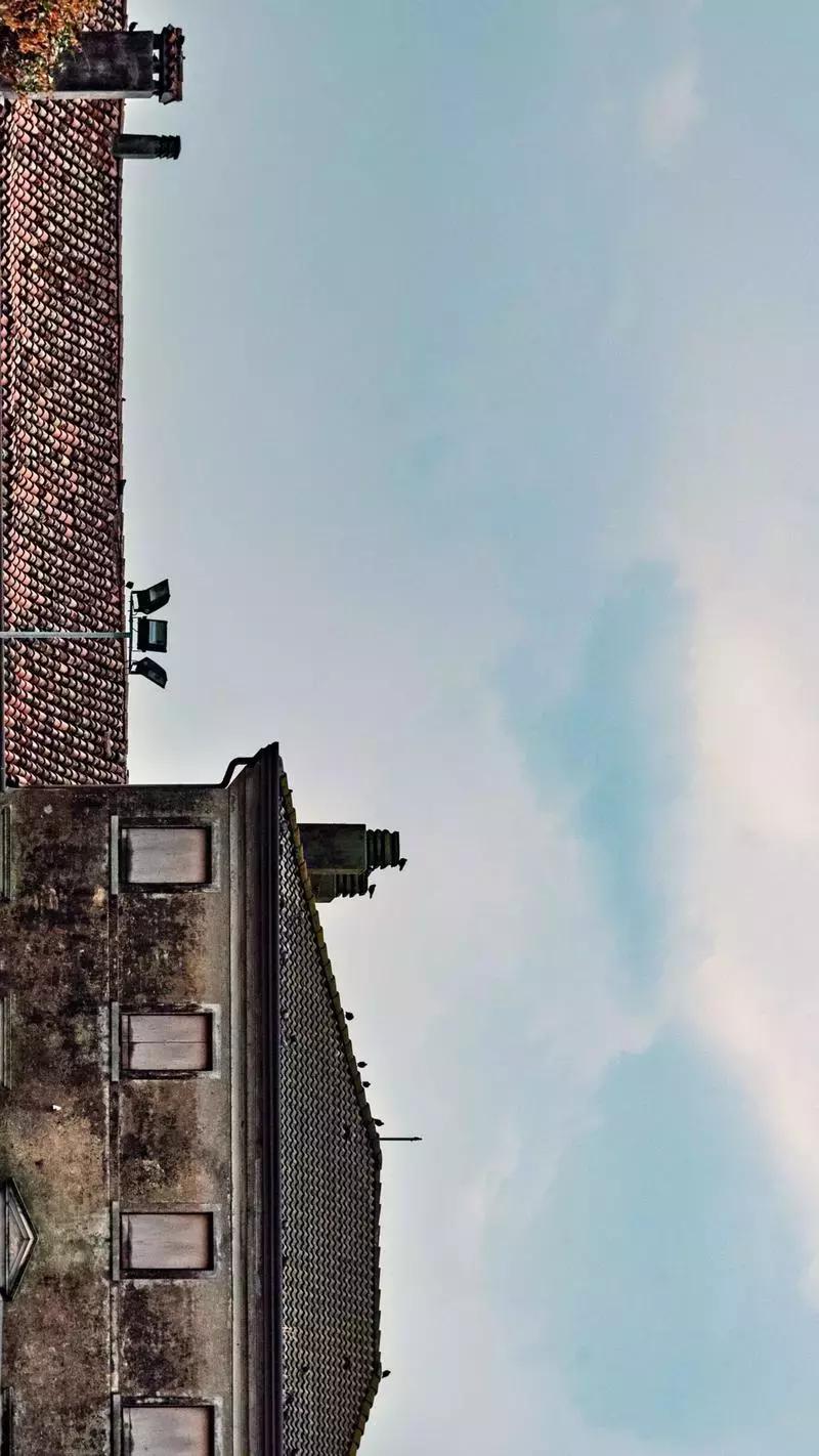 鎴戠殑鏃呮父鎽勫奖缇庡浗娓歌,鎽勫奖浣滃搧鎴戠殑鏃呰