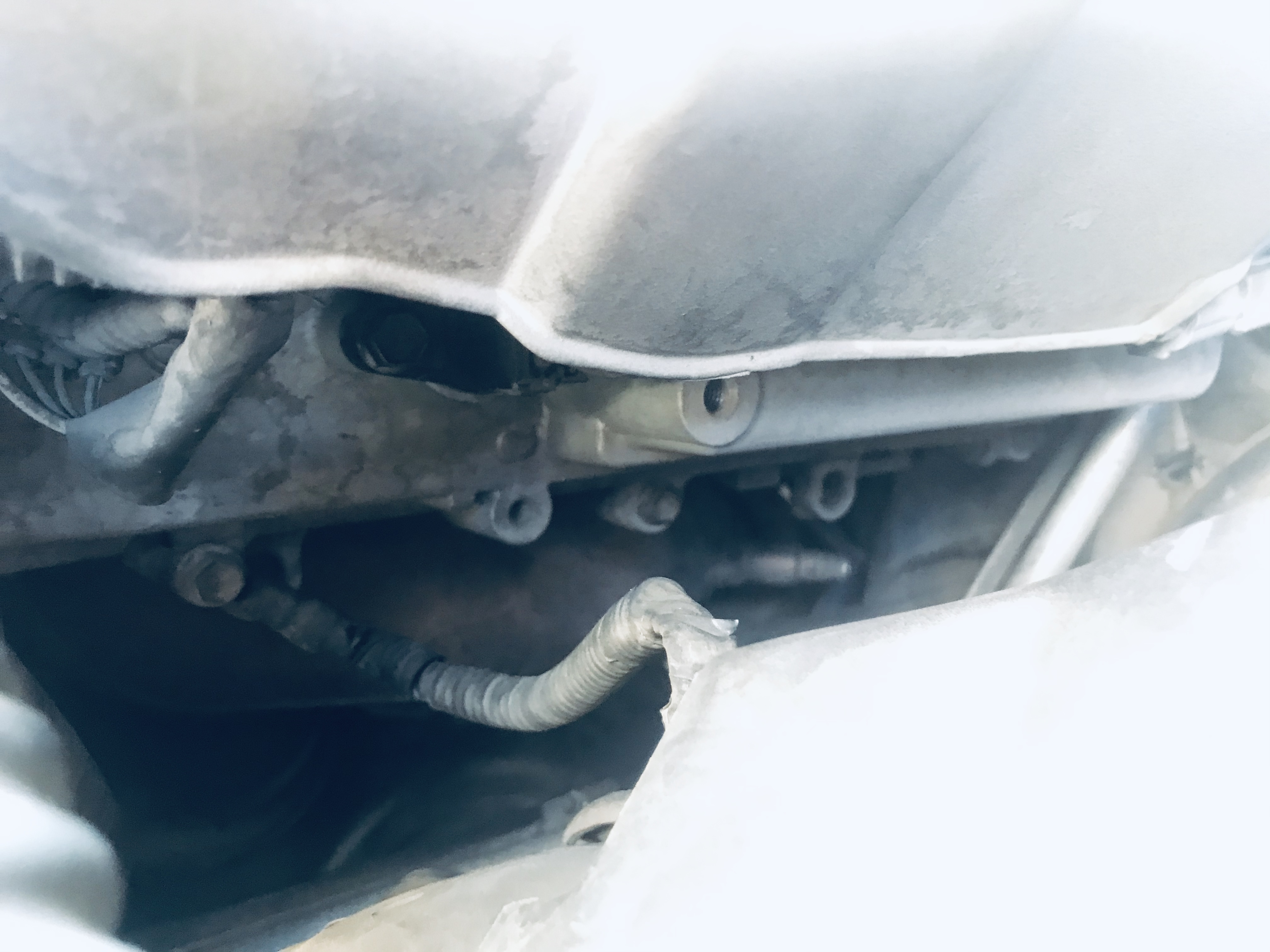 意外收获巨无霸,意外收获超级加倍名牌