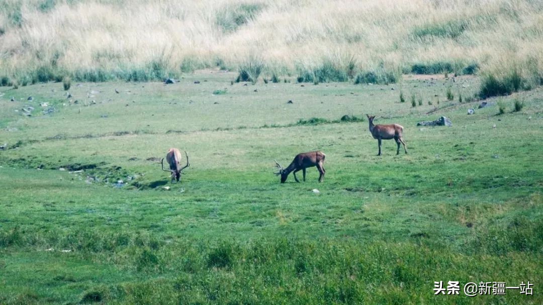 老城回忆乌鲁木齐,乌鲁木齐值得回忆的地方