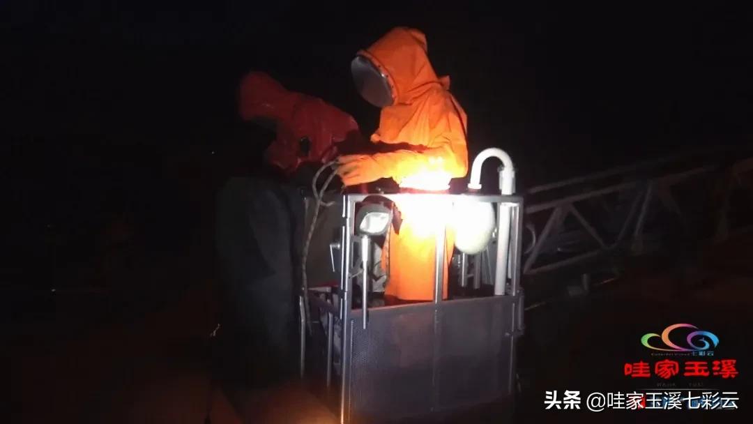 树洞惊现马蜂窝消防员火攻摘除,马蜂窝扰民消防处置