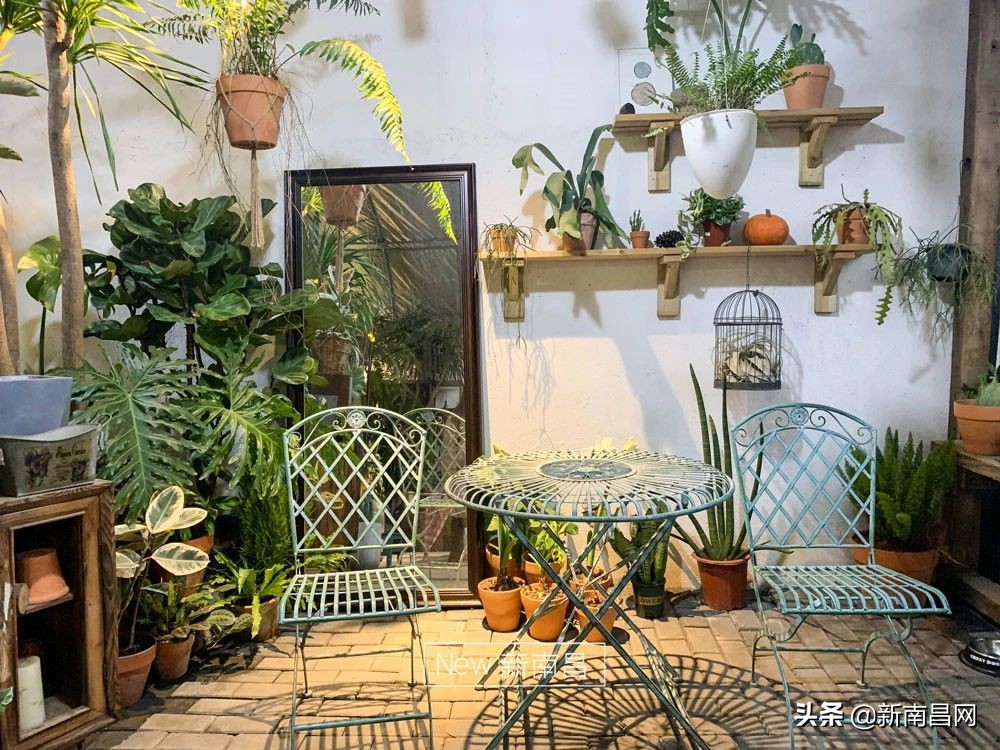 南昌花市有哪些地方,南昌花市批发市场