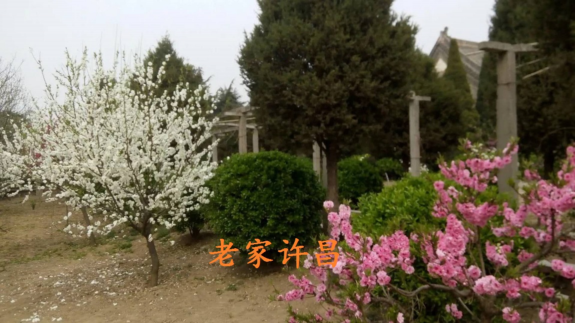 40年前的天宝宫记忆：吊儿郎当，丢不起人，大白脸