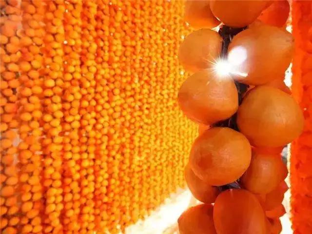 年产值近20亿，主题电视剧在央视播出……富平柿饼凭啥这么火？