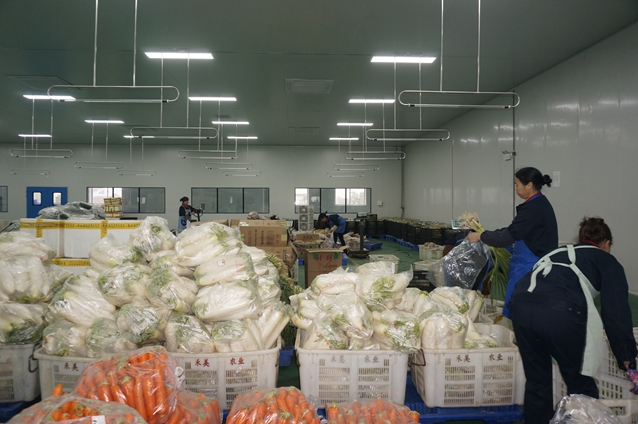 广西禾美农业有限公司,广西禾美生态农业