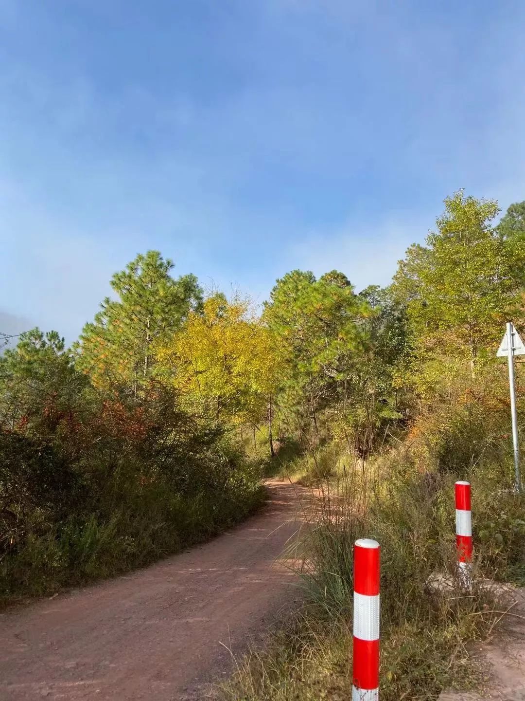 “关注倾听,让爱同行”--昆明三博癫痫术后患者回访