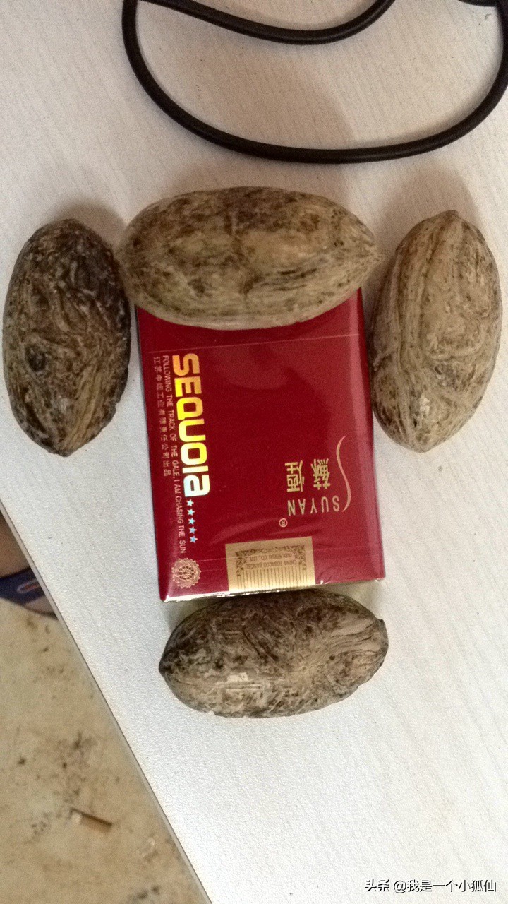 安哥拉抽什么烟 (安哥拉抽中国烟)