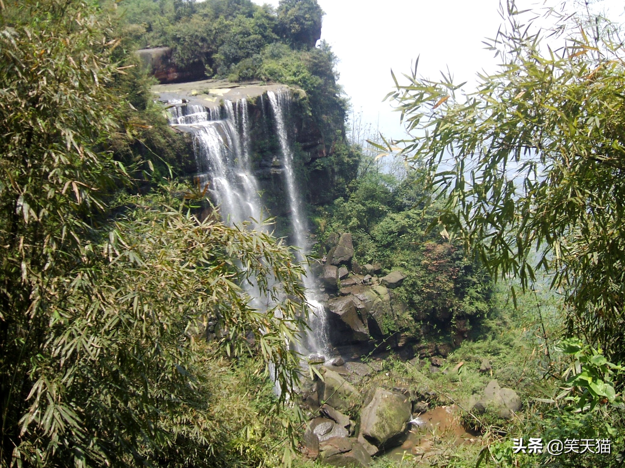 四川宜宾竹海风景,宜宾蜀南竹海全视频