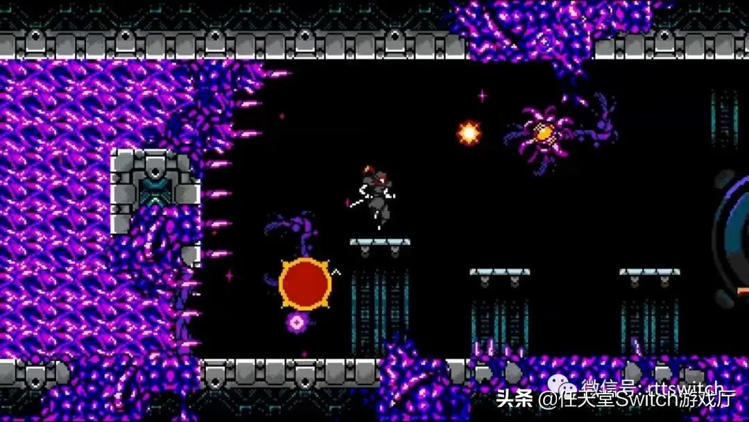 switch怪猎崛起任务毁灭之鸟龙,switch怪猎限定