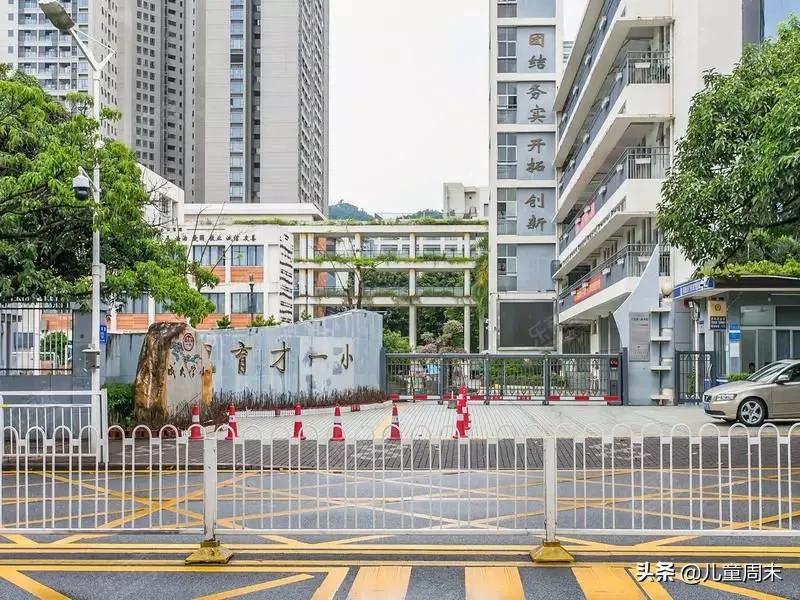 南山蛇口育才一小/二小/三小/四小,哪所更合适你家孩子?