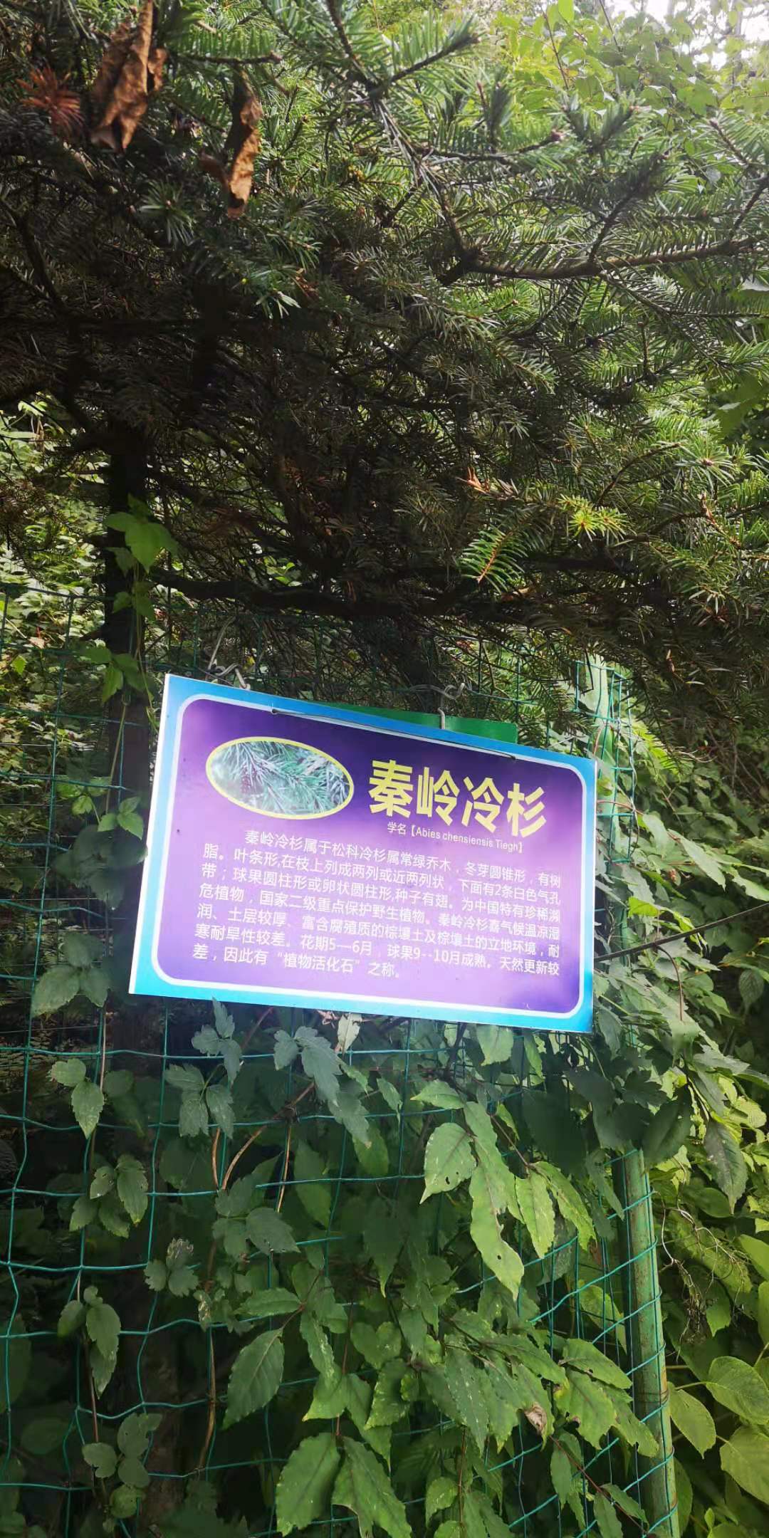 河南尧山风景区游览图片大全集,河南尧山特色风景区有哪些景点
