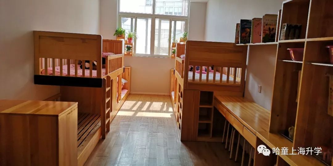 十二年一贯制，升学上牛校！这所老牌民办学校竟有野生鸟类观测园