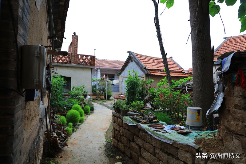 瑙︽懜涔℃剚鍙よ瘲鍥剧墖,瑙︽懜涔℃剚