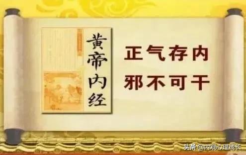 心理治疗要学什么课程,心理治疗都包括什么疗法