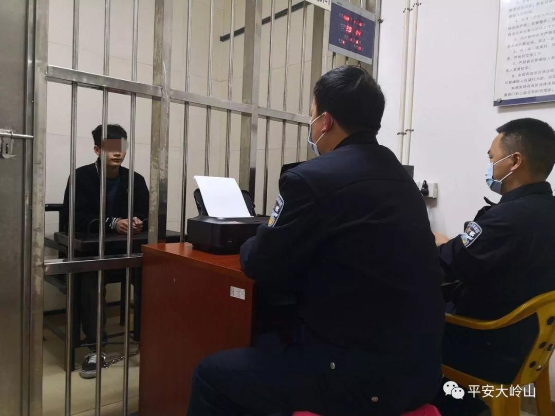 现在疫情还能抓到诈骗分子吗,疫情期间抓捕的诈骗犯