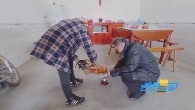 高铁春运回家过年,高铁加速回家的路上