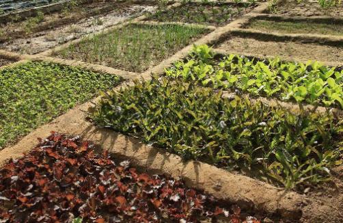 未来10年小县城最赚钱的行业,潜藏在乡镇的赚钱秘诀有哪些