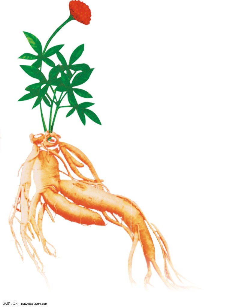 “春困”，你有吗？教你轻松赶走它