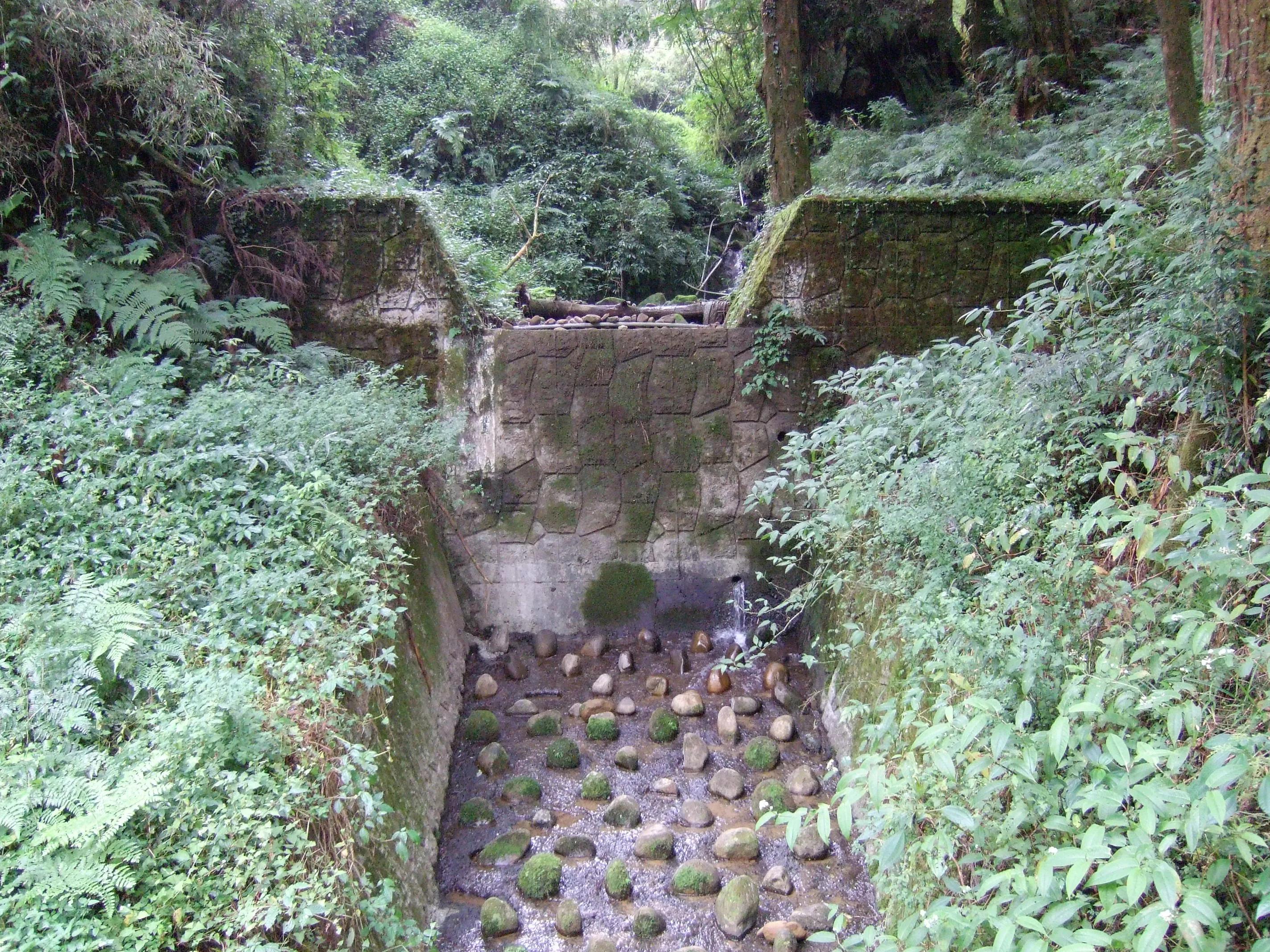 阿里山美丽动人的传说,阿里山的风光美如画