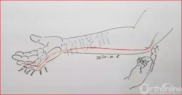 手绘科普视频,手绘类科普