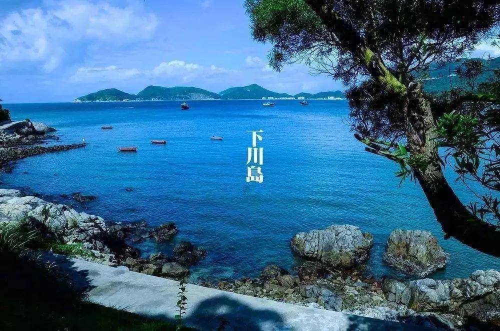 广东小帕劳,下川岛小帕劳