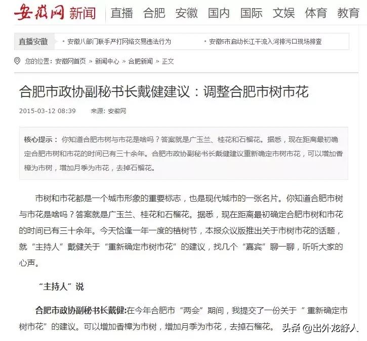 广玉兰是哪个城市的市花,广玉兰为什么会成为合肥的树