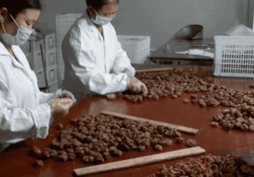 金丝蜜枣是怎么做成的,金丝蜜枣是怎么制成的