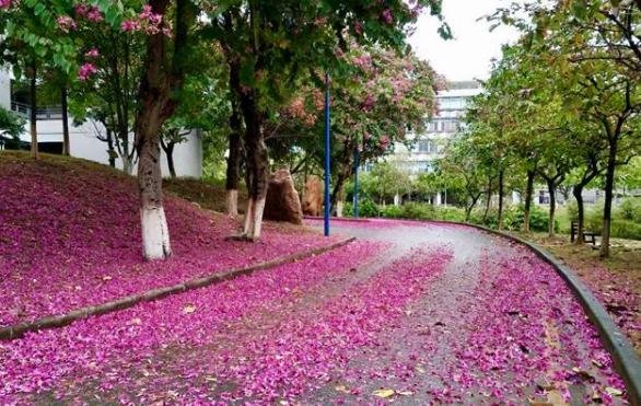 学会安静才有智慧,怎样学会保持安静